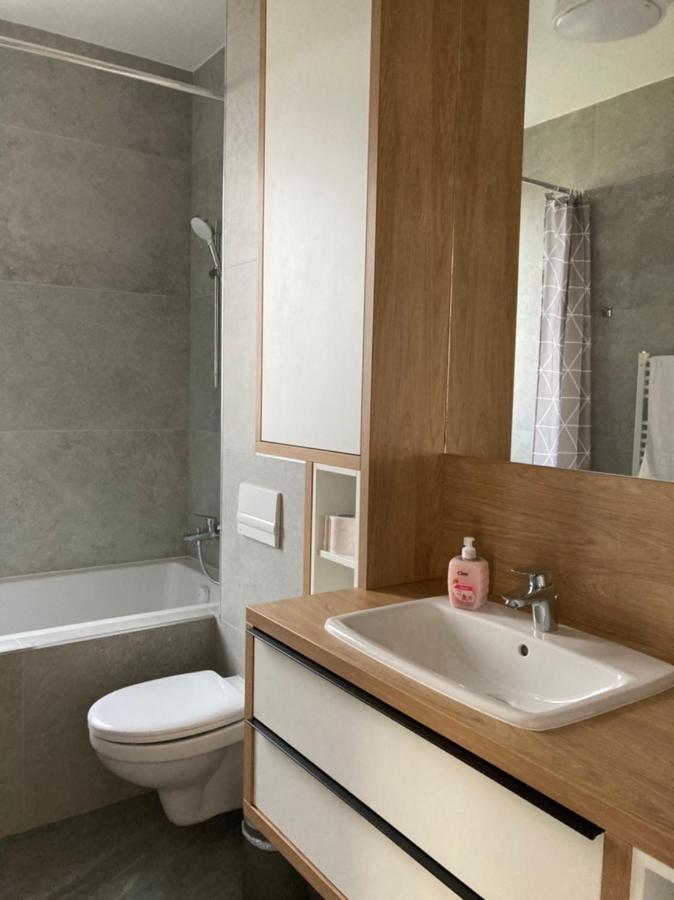 Papillon Apartment #6 Dumbravita  Экстерьер фото